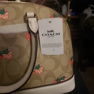 Coach bag/purse